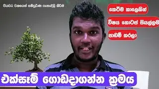 විභාගයකින් උසස් ප්‍රතිඵල ගන්න හැටි | How to Prepare for Exam Effectively - Sinhala Explanation