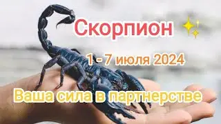 СКОРПИОН 🌹💙 1 - 7 июля 2024💙✨❤️ Тароскоп.