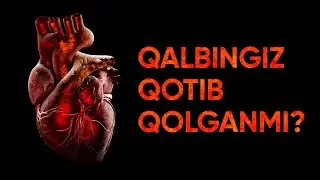 QALBINGIZ QOTIB QOLGANMI? (SUHBAT JONLI EFIRDA BO`LADI)