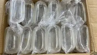 May bagong strain ng guppy na available sa shop namin