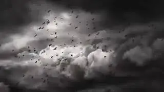 Stormy Sky And Black Crows