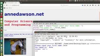 Python 3 input of strings and numbers