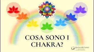Cosa sono i Chakra