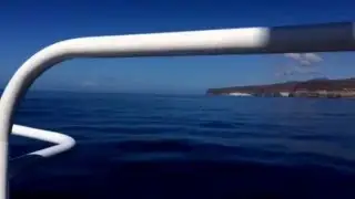 На борту