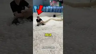 GUADAGNA MILIONI FACENDO QUESTO 😲 