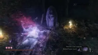 Sekiro - Forest Headless (no confetti/no damage)
