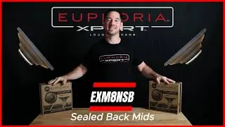 An in depth look at Sealed Back Midrange Speakers