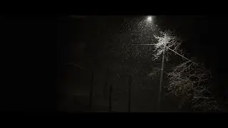 Снег. 24.03.21
