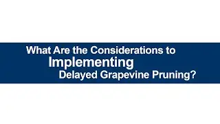 What Are the Considerations to Implementing Delayed Grapevine Pruning?