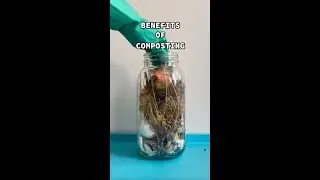The Benefits of Composting #GardeningEdition #shorts