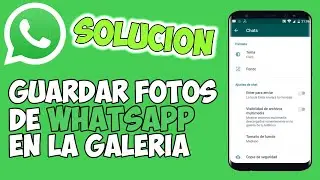 How to SAVE WhatsApp photos to your Android phone's gallery