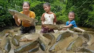 How to catch giant fish in mud pond - cooking fish favorite dish