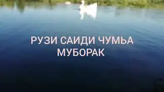 Рузи САИДИ ЧУМЬА муборак