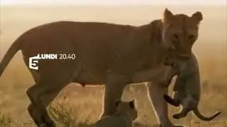 Bande-Annonce France 5 - Le voyage de la vie