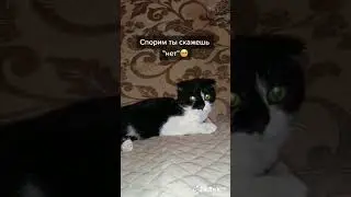 11 марта 2024 г.