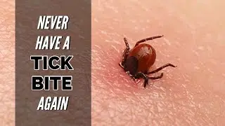 KILL Ticks and Prevent Lyme Disease