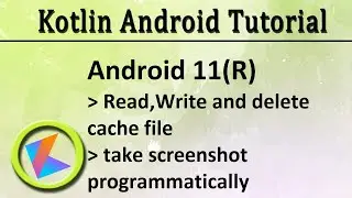 Android 11 read,write cache file | take screenshot programmatically | pdfrenderer webview demo