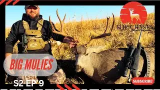 Ted takes a solo trip to hunt Mule deer!