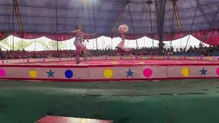 Kota Circus 2024 || Great Golden Circus 2024 || Kota Dusshera Mela 2024