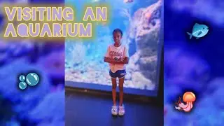 Visiting an Aquarium 2025 🫧
