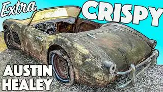 CRUDELY Customized Austin Healey with a Surprise Under the Hood