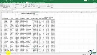 New Window Option In Excel - Ultimate Microsoft Office