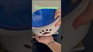 🐶 PRODUCTOS PARA REFRESCAR A TU PELUDO 💦