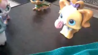 Подруга из убийц 11 серия