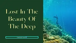 The beauty of underwater exploration