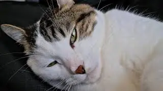 GALAXY S20+ VIDEO 8K