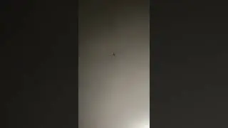 Марафонец