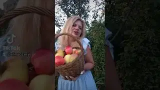 С яблочный Спасом.#яблочныйспас #яблоня #яблоки #сад #позитив #shorts #спраздником #яблоко #мойсад