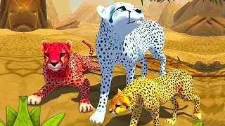 SIMULATOR OF THE WILD CAT # 1 WE HAVE BORN GIRL MIA entertaining video for children
