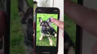 WhatsApp Tricks