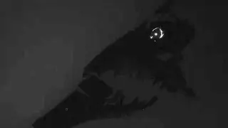 WALL JUMPSCARE