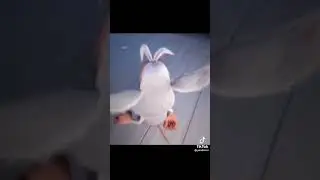 #ставь на обои!