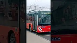 Троллейбус 305 МАЗ 203Т20, маршрут 5. Остановка золотые ворота