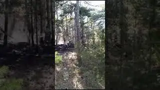 Kızılcahamam ve Çamlıdere'de orman yangını
