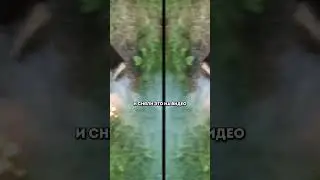 Сожгли Библию в Ставрополе ради шутки
