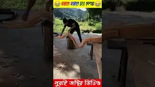 ড্রাগন সাইকেল বানালাম🤯 ~mini wood toy~woodworking art skill _hand crafts #vairal #shorts