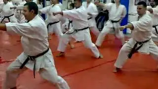 kata Ten no kata geri karate shotokan