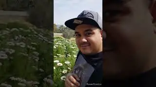 uae flower farm.....great nice nature....it is good for relax with 1 cup coffee...