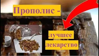 Сбор прополиса.