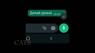 БЕСИМ ЛП                    не надо было                это делать :')