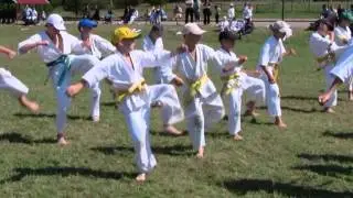 LIETUVOS KYOKUSHIN KARATE VASAROS STOVYKLA.wmv