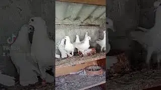Молодежь 2024г.