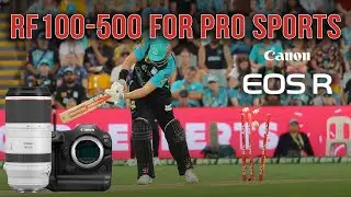 Canon RF100-500mm For Pro Sports?