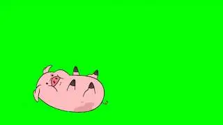 Поросёнок Свинья Хрюшка Хромакей Футаж