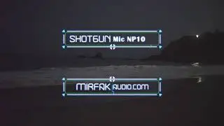 Bioluminescence ASMR Laguna Beach Stereo Pair of NP-10 Shotgun Microphones MIRFAK Audio