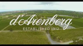 d´Arenberg wines, McLaren Valley, South Australia, AUSTRALIA. Vineyards and drone